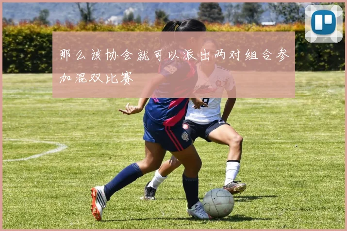 那么该协会就可以派出两对组合参加混双比赛