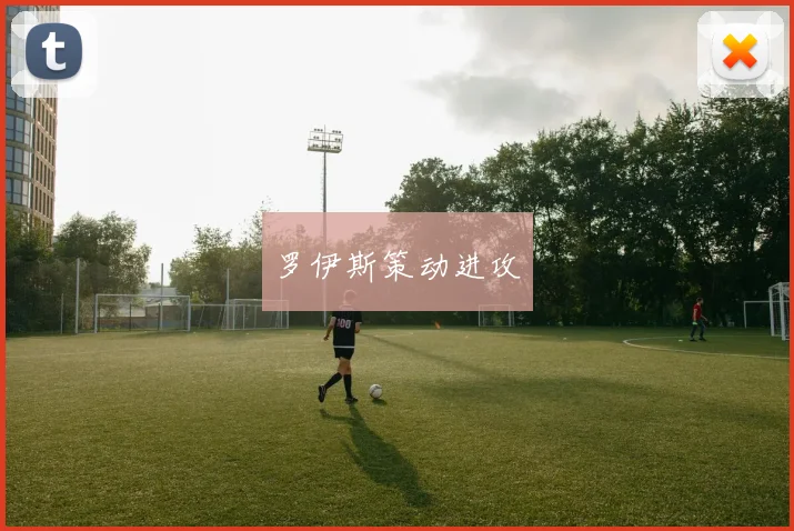 罗伊斯策动进攻