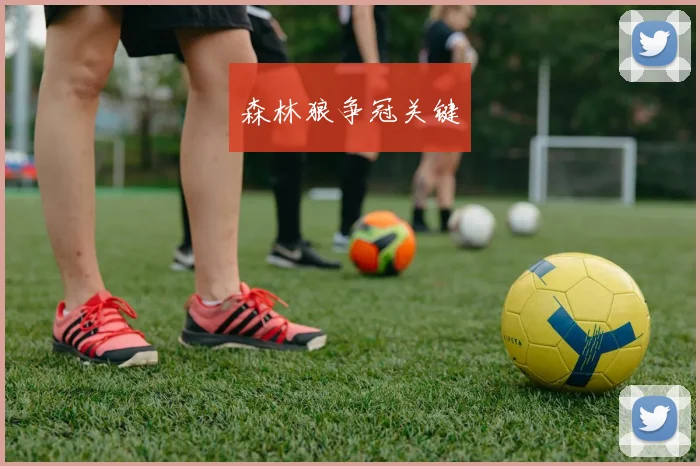 森林狼争冠关键