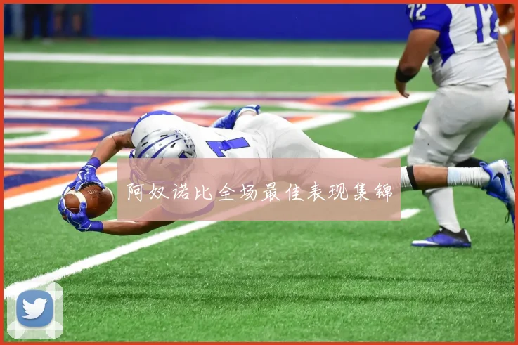 阿奴诺比全场最佳表现集锦