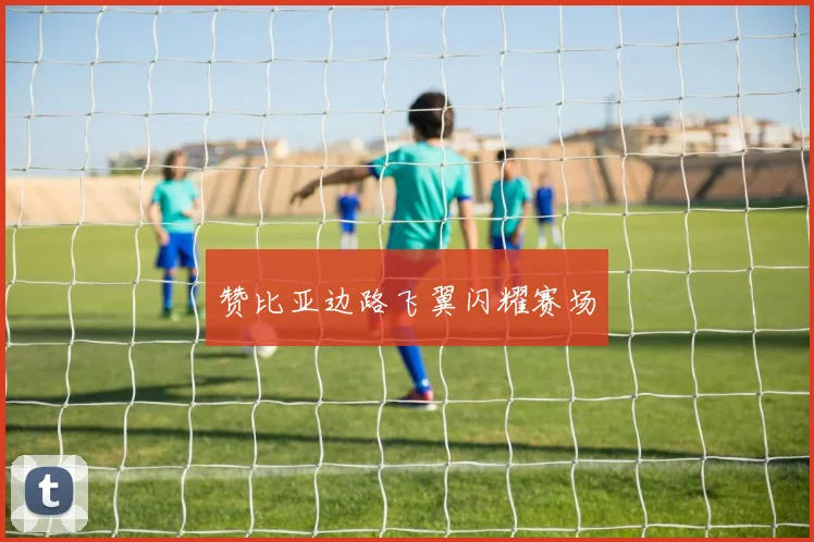 赞比亚边路飞翼闪耀赛场