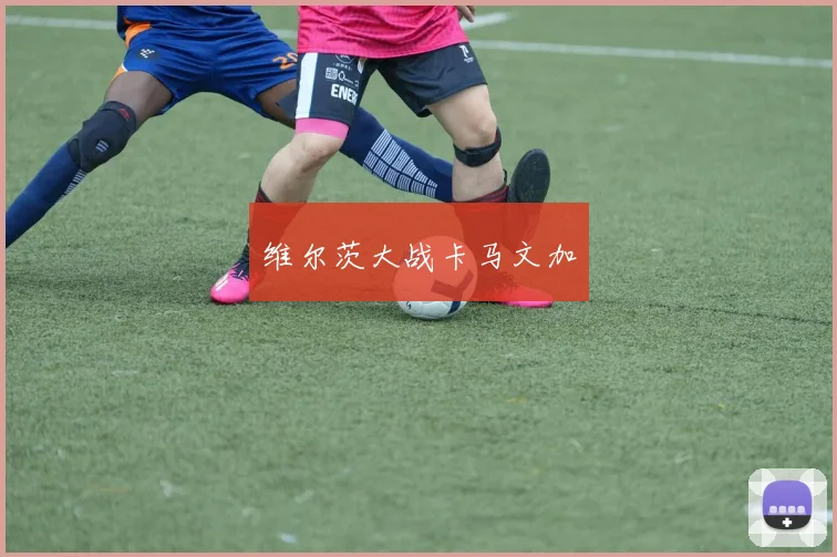 维尔茨大战卡马文加