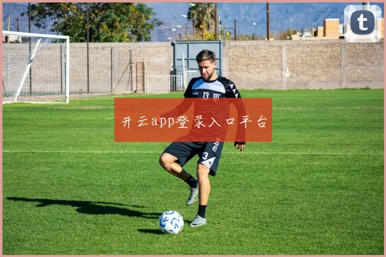 开云app登录入口平台